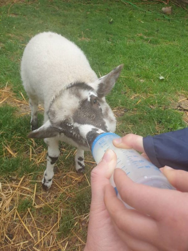 20220524_101738 __k.jpg